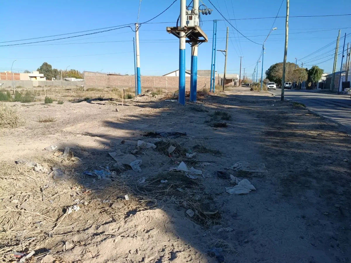 Los residuos se encuentran desparramados por diversos sectores. Foto: ANRoca