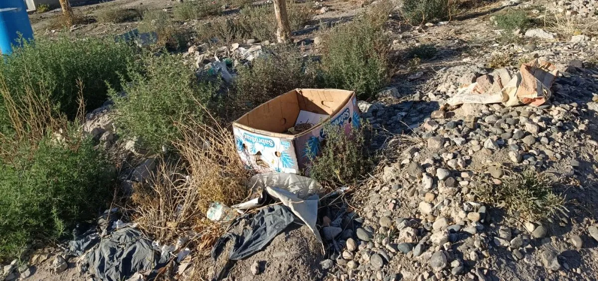 Muchos terrenos, acumulan basura en medio de mucha maleza. Foto: ANRoca
