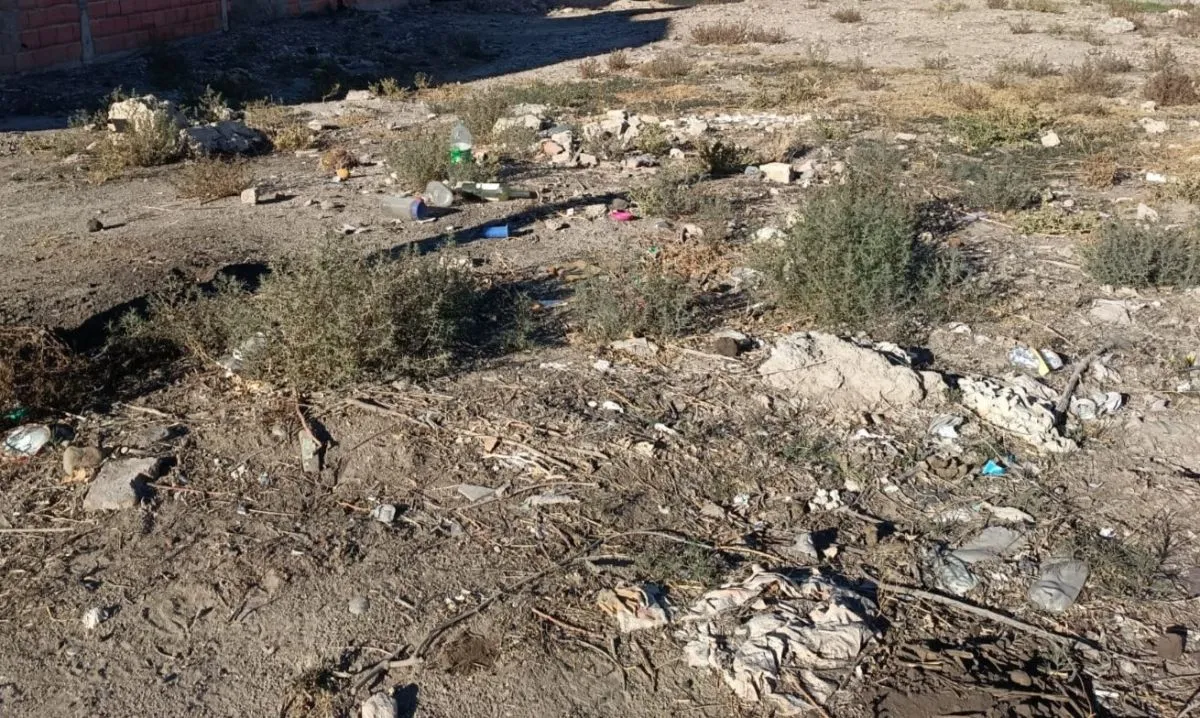 La falta de mantenimiento en terrenos es sancionable. Foto: ANRoca