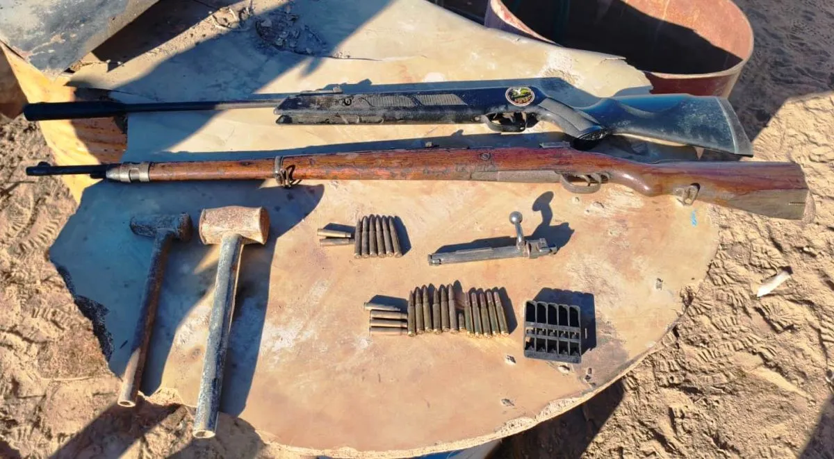 Las armas largas y las municiones fueron parte de los elementos secuestrados durante el procedimiento realizado en una zona rural de Allen. Foto: Polic&iacute;a de R&iacute;o Negro.