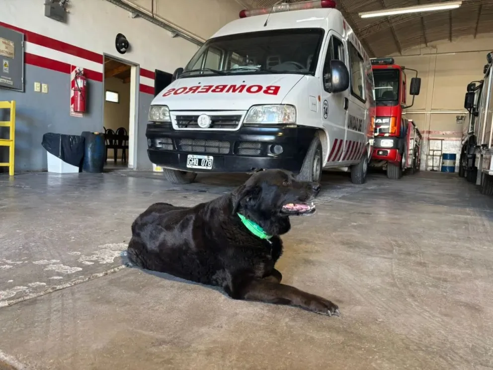 Laica acompañaba al cuerpo de Bomberos Voluntarios del Destacamento 2 de Junio. Foto: ANRoca