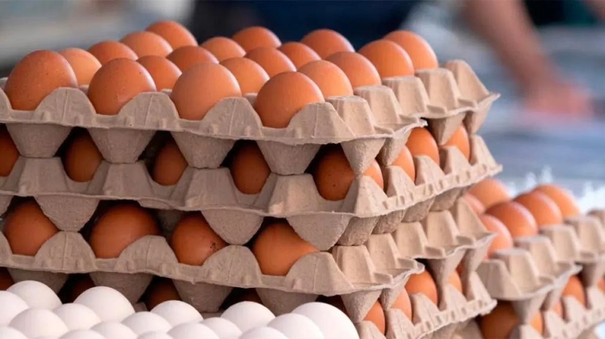 Las exportaciones de huevos alcanzaron cifras históricas con ingresos por 10,8 millones de dólares