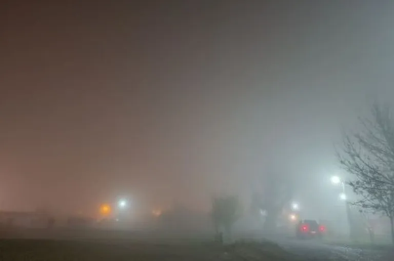 La humedad y las bajas temperaturas favorecieron la formaci&oacute;n de bancos de niebla en la regi&oacute;n. Foto: ANR