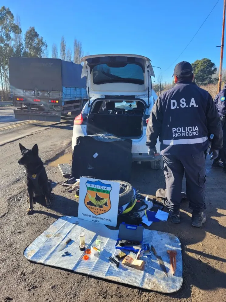 Matías, el perro detector de narcóticos, marcó una reacción positiva durante un control vehicular que terminó con el secuestro de droga, un arma de fuego y municiones. Foto gentileza Policía de Rio Negro