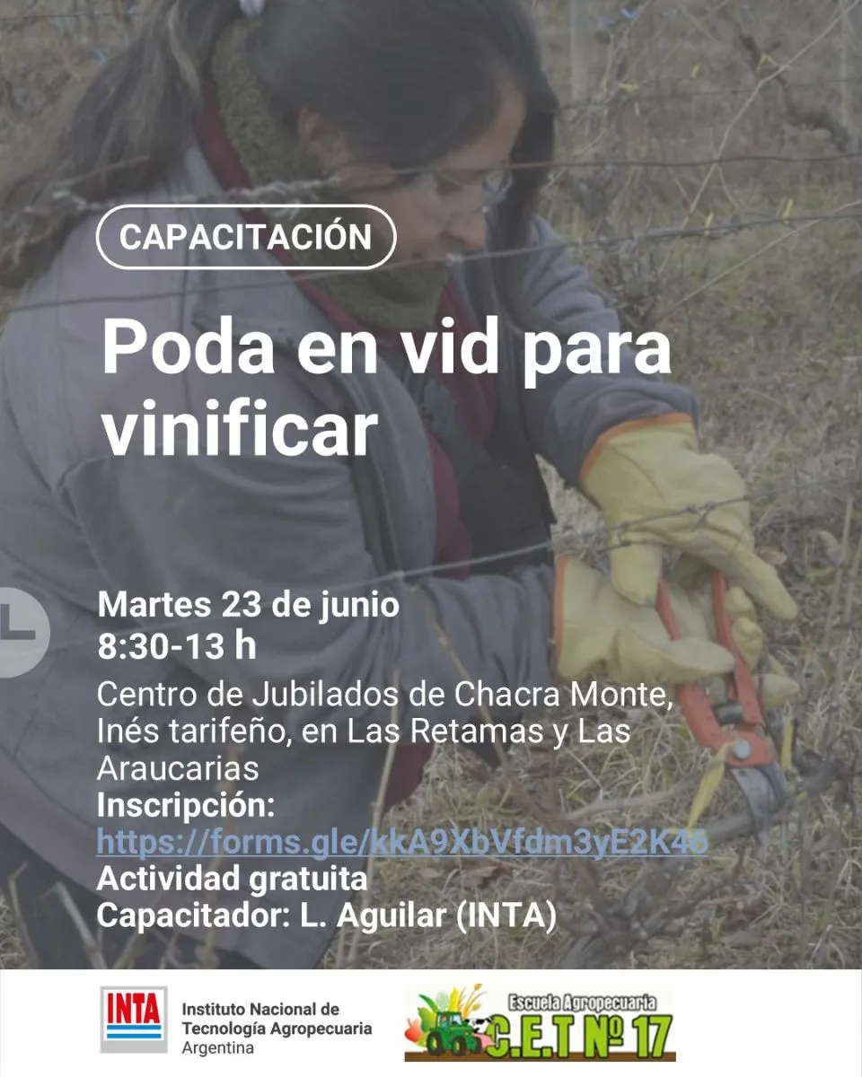 INTA y el CET N&deg; 17 organizan una capacitaci&oacute;n gratuita sobre poda de vid para vinificar, con cupos limitados y entrega de certificados.