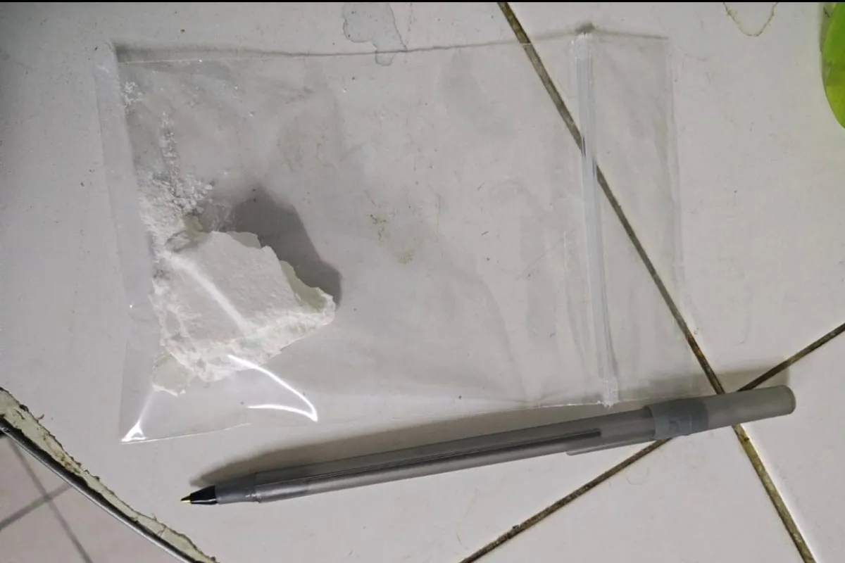Adem&aacute;s de la droga, el procedimiento permiti&oacute; retirar cinco tel&eacute;fonos celulares y seis armas caseras de fabricaci&oacute;n artesanal. Foto: Polic&iacute;a de R&iacute;o Negro.