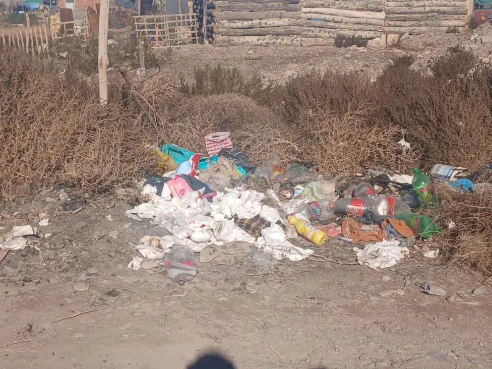 Desde plásticos hasta pañales y animales muertos, todo lo que suele encontrarse entra la basura arrojada en la vía pública. Foto: Gentileza