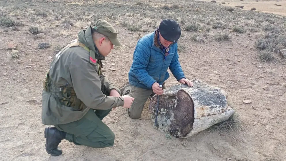 La intervención se enmarca en el Plan Provincial de Conservación, Investigación del Patrimonio Cultural y Natural. Foto Gobierno de Río Negro