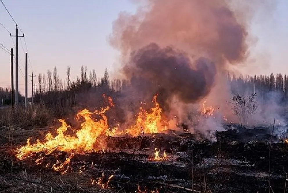 El fuego comenzó alrededor de las 17:00 horas. Foto gentileza