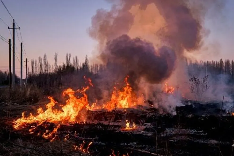 El fuego comenzó alrededor de las 17:00 horas. Foto gentileza