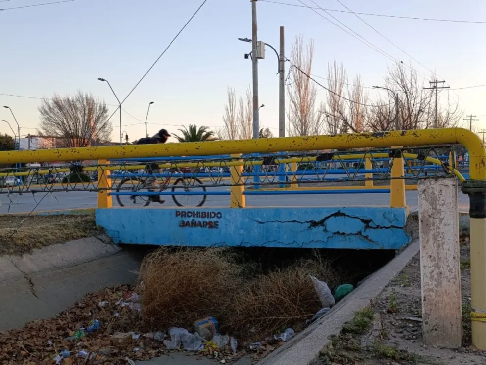 El sector del canalito donde más se observa la acumulación de basura sumado a los arbustos y hojas. Foto: Tania Domenicucci