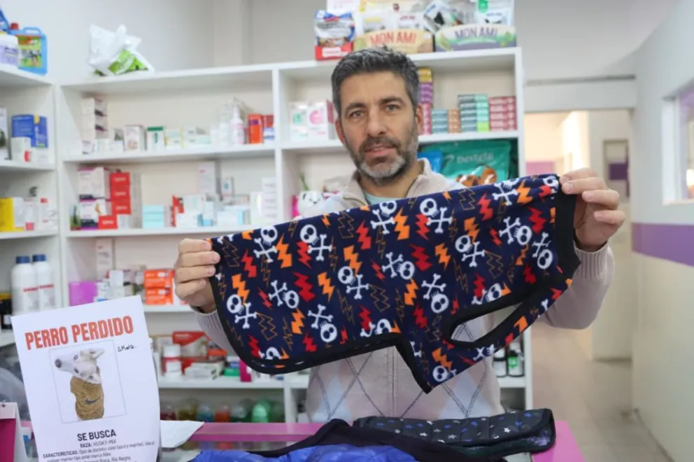 Con la llegada de las heladas, los especialistas recomiendan brindar abrigo, refugio y una buena alimentación a las mascotas y a los perros que viven en la calle para prevenir enfermedades y complicaciones por el frío. Foto Tania Domenicucci-ANR