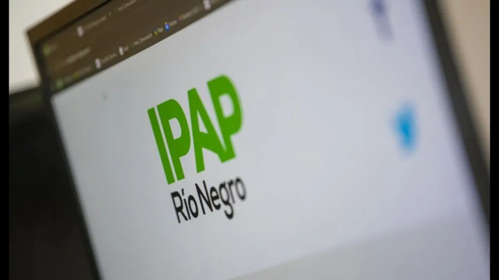 Cualquier vecina o vecino de la provincia puede crear su usuario y realizar las capacitaciones propuestas por el IPAP. (Foto: gentileza)