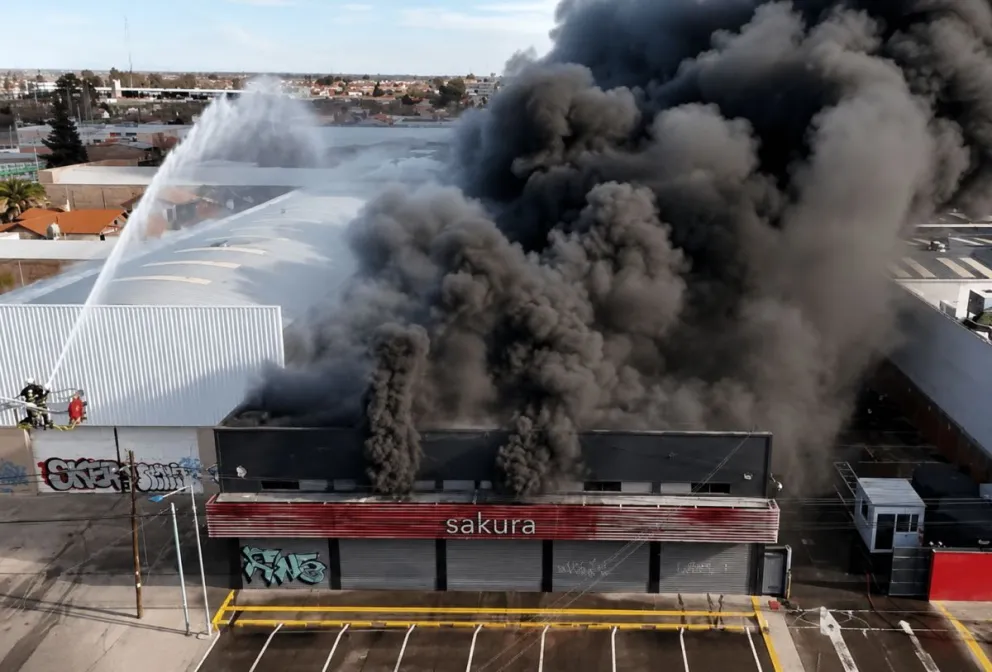 El calor extremo en el interior del depósito causó el colapso parcial del techo/ imagen gentileza
