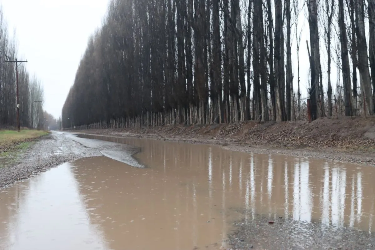 En zonas rurales, la acumulaci&oacute;n de agua fue evidente. Foto: Tania Domenicucci