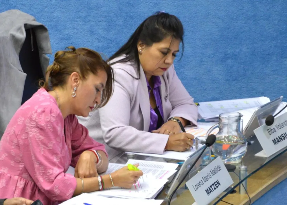 “Cada minuto cuenta y puede salvar una vida”, sostienen las legisladoras que impulsan el proyecto. (Foto: gentileza)