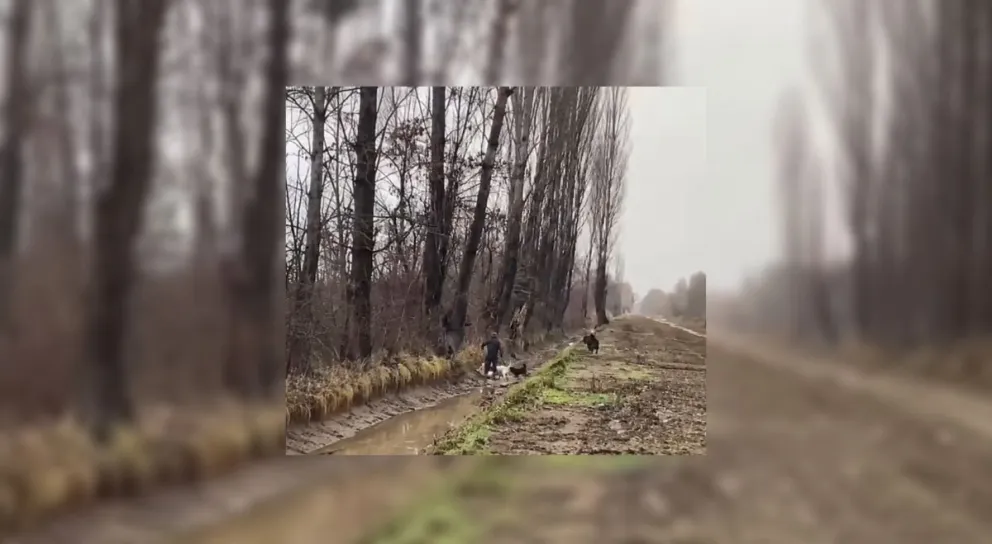 El ataque ocurrió el jueves en Chacra Monte y quedó registrado en un video. Foto: captura de video / Ranhu.