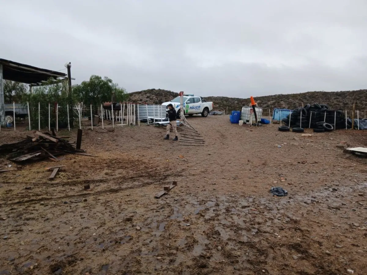 La Brigada Rural dio con los equinos en una zona cercana a la termoel&eacute;ctrica, en Ruta 6. Foto: Polic&iacute;a de R&iacute;o Negro