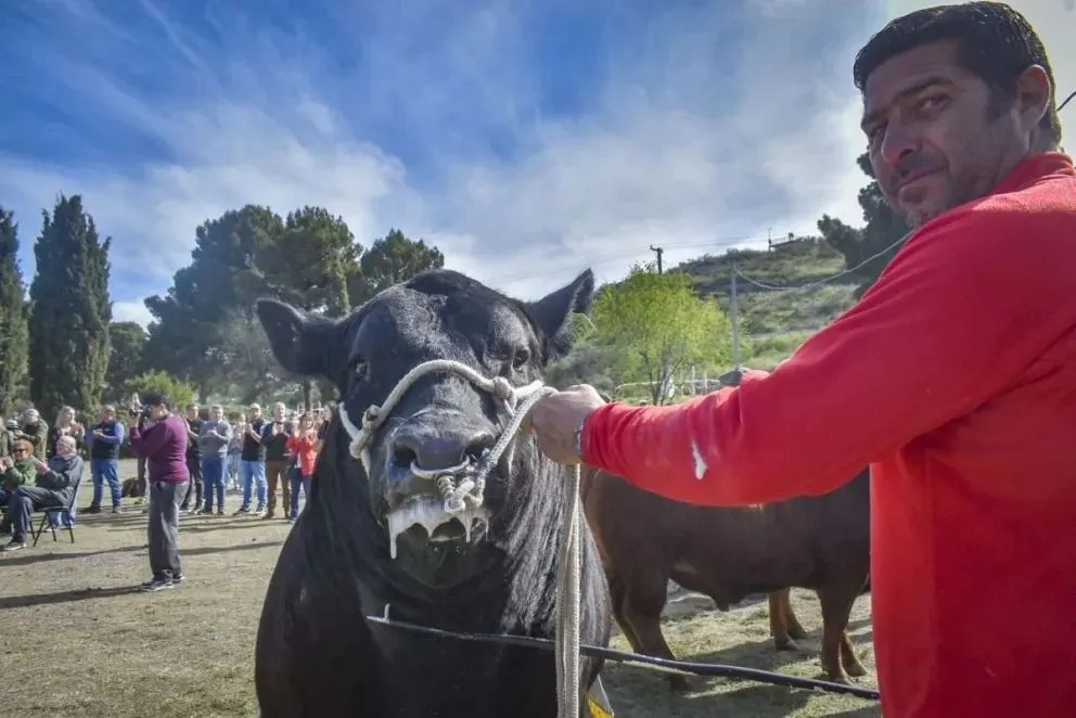 El dirigente rural habló sobre las lluvias, los precios, la etapa de pariciones y la preparación de la Expo Rural de Viedma. Foto: Archivo de NoticiasNet.