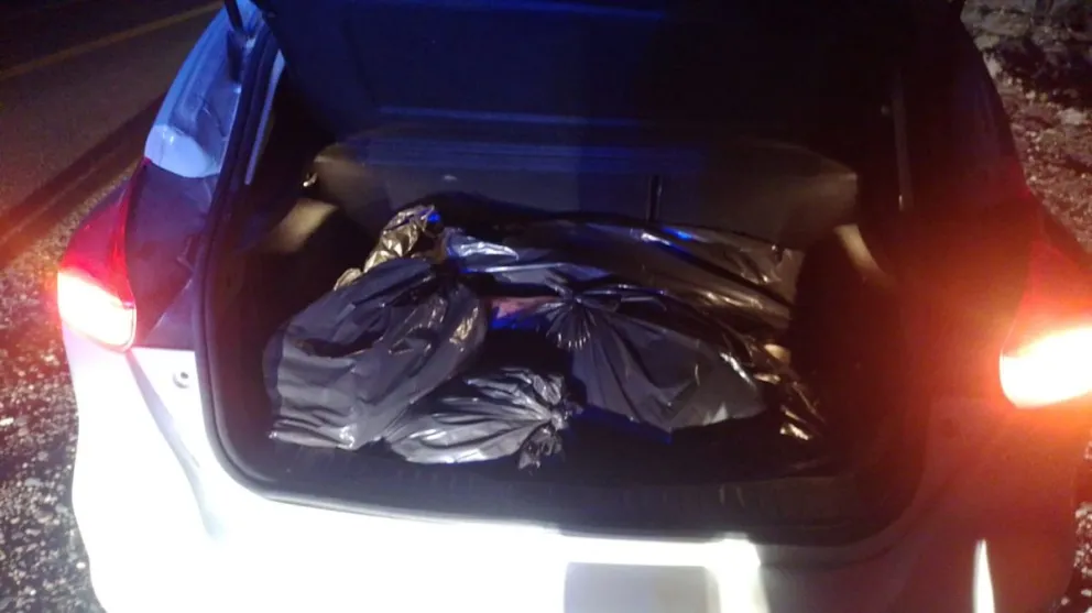 La carne fue decomisada durante el control realizado sobre la Ruta 6. Foto: Policía de Río Negro.