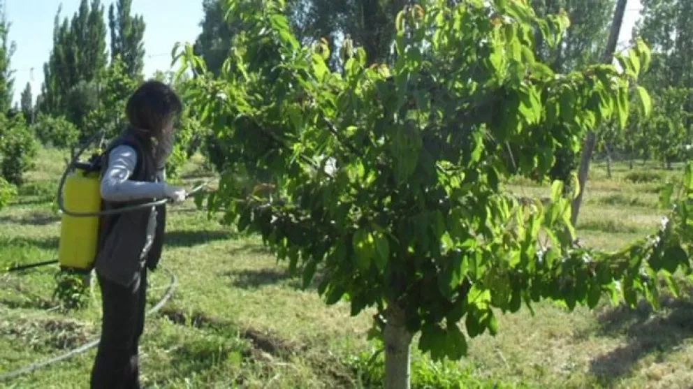 El manejo seguro de fitosanitarios será uno de los ejes de la capacitación que se realizará en Allen. Foto: gentileza