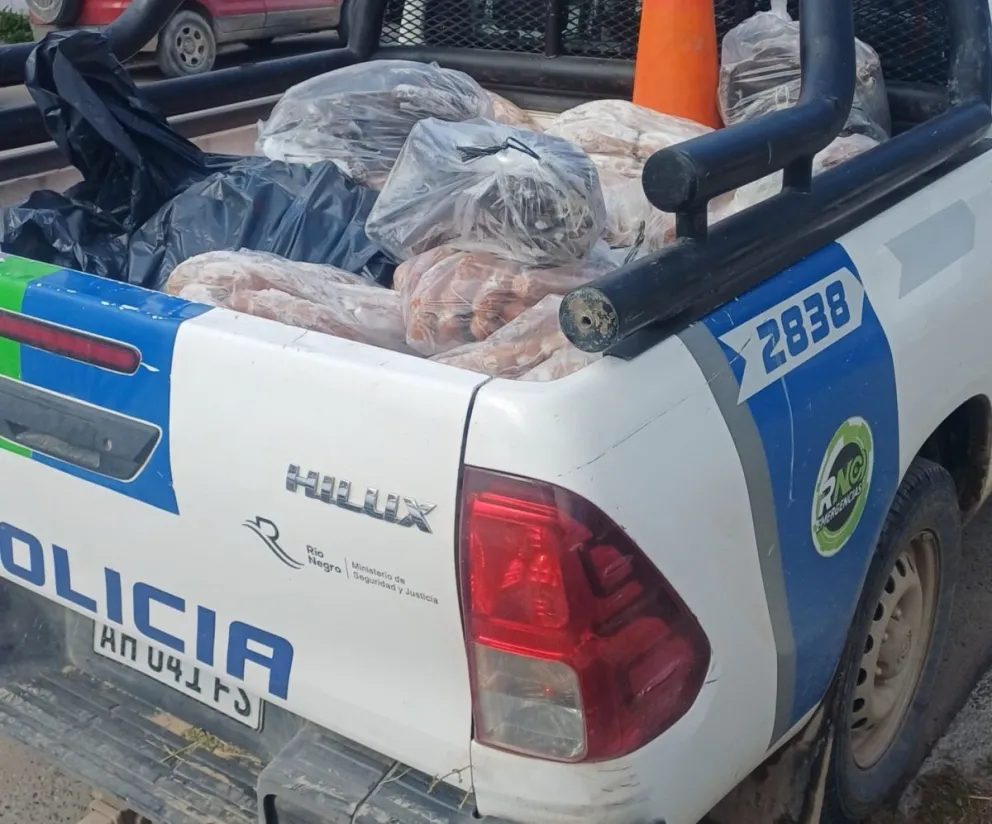 La carne decomisada fue trasladada al frigorífrico Fricader. Foto: Policia de Río Negro