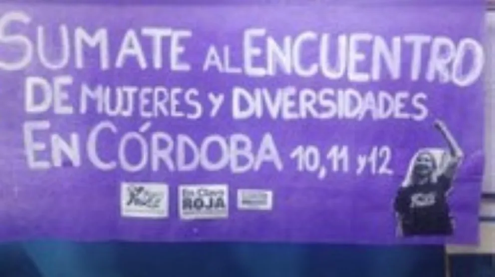 La bandera de Pan y Rosas que fue retirada del edificio hist&oacute;rico de la Fadecs. Foto: gentileza.