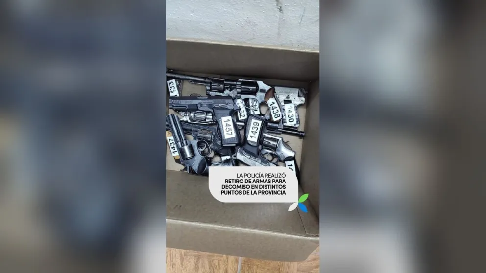 Armas retiradas de juzgados de Roca y otras ciudades para avanzar con su decomiso. Foto: Policía de Río Negro