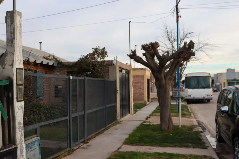 La multa por la poda de un árbol abrió un fuerte debate entre vecinos de Roca sobre los permisos y las demoras municipales. Foto: Tania Domenicucci-ANR.