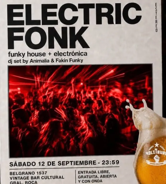 &ldquo;Electric Fonk&rdquo; llegar&aacute; este s&aacute;bado a Vintage con funky house y electr&oacute;nica. Foto: gentileza