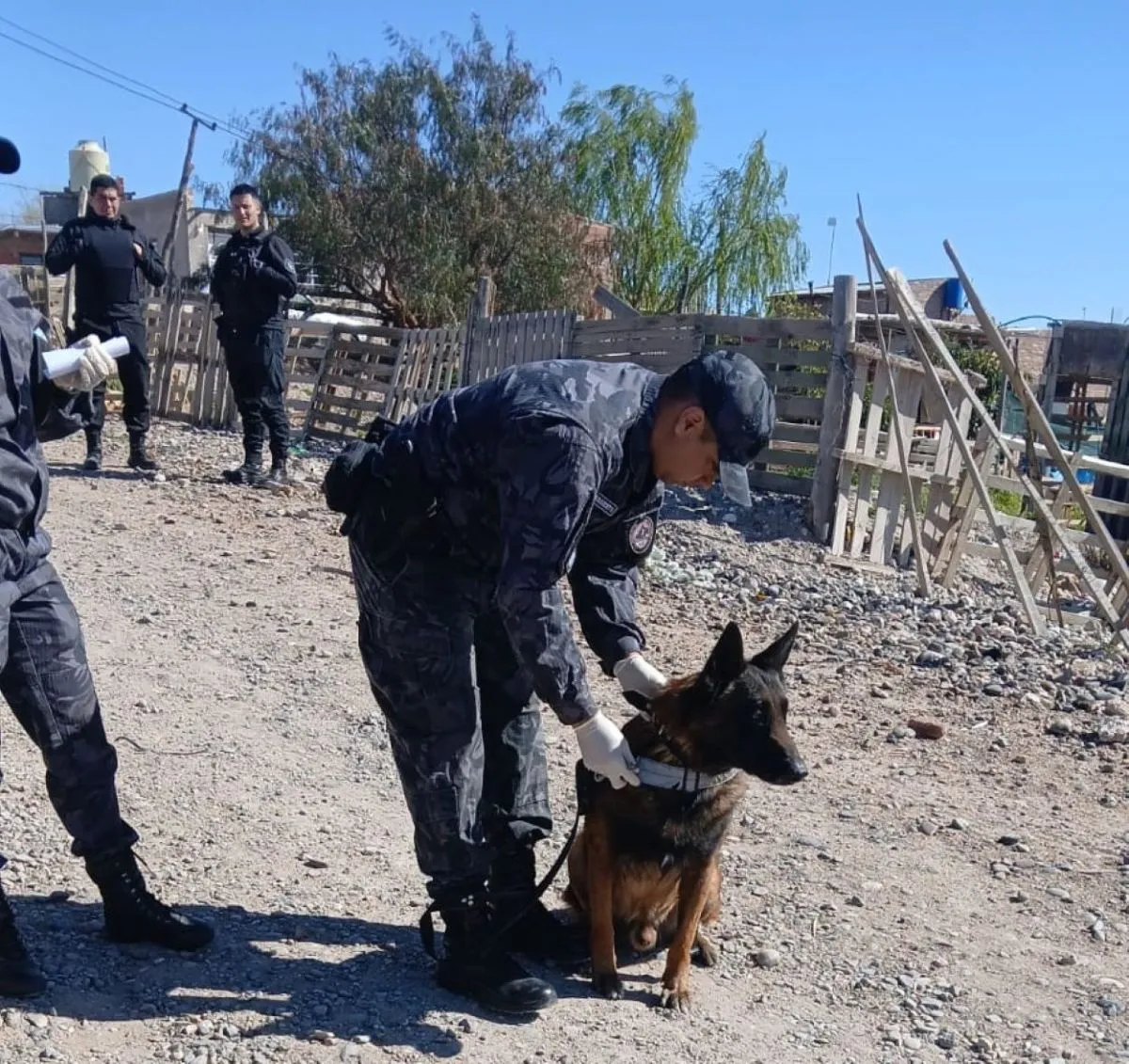El perro adiestrado participa de la b&uacute;squeda de la mujer y su hija desaparecidas. Foto: Polic&iacute;a