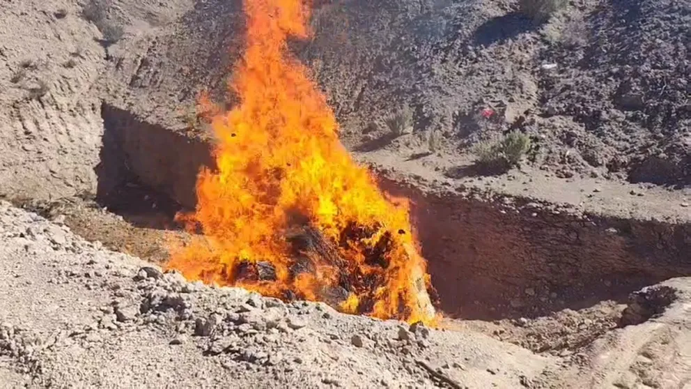Más de 610 kilos de marihuana secuestrados en 104 causas judiciales fueron incinerados en Roca. Foto: Policía