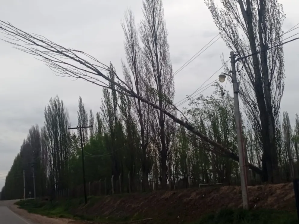 Esta tarde se están registrando fuertes ráfagas en la ciudad. Foto gentileza 