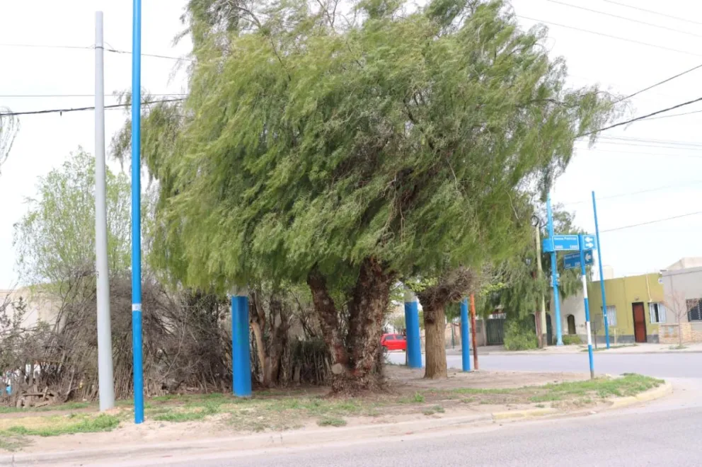El  viento comenzó a las 10 en Roca. Foto Tania Domenicucci