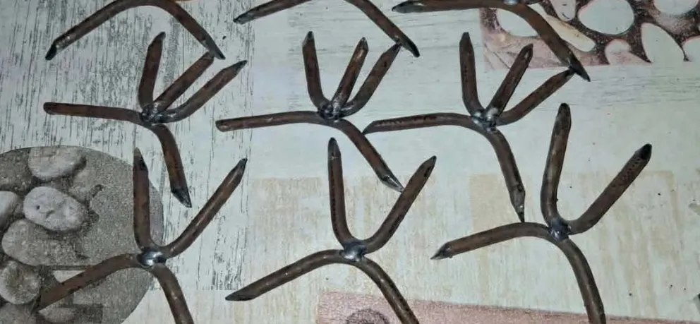 Los clavos fueron hallados esta semana. Foto gentileza