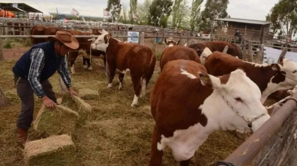 Productores y familias se dieron cita en la 14&deg; Expo Rural y Feria de Invernada del Alto Valle. Fotos Tania Domenicucci-ANR