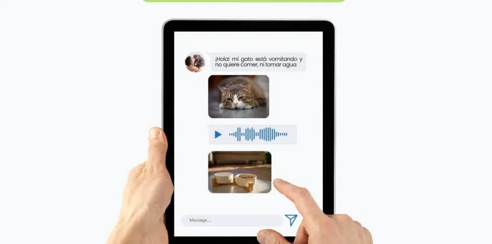 Se trata de un servicio a través de whatsapp, mediante un suscripción. Foto: Petzo