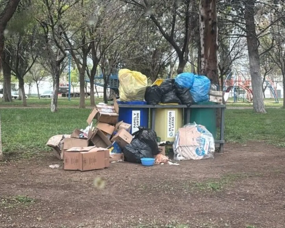 Los residuos que fueron depositados en uno de los Puntos Limpios. Foto: Municipio de Roca