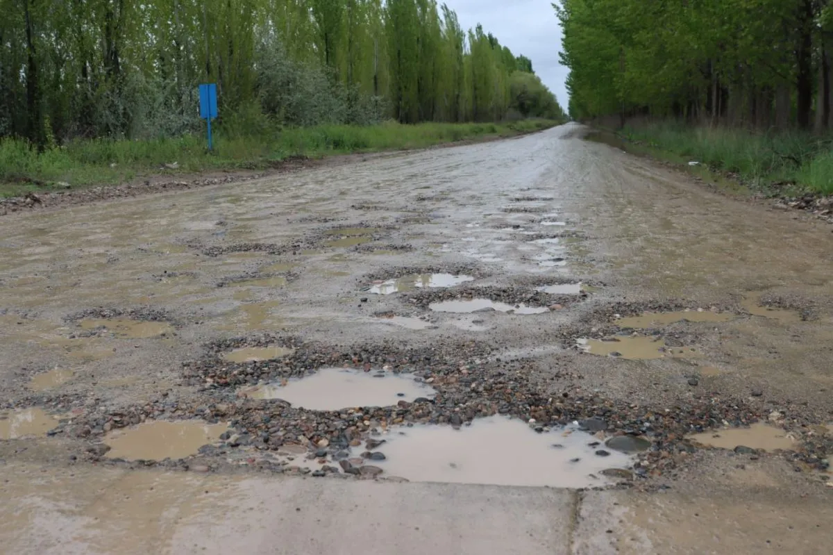 Pozos y charcos en uno de los caminos rurales al oeste de la Ruta Provincial 6, en Roca. Foto: Tania Domenicucci.
