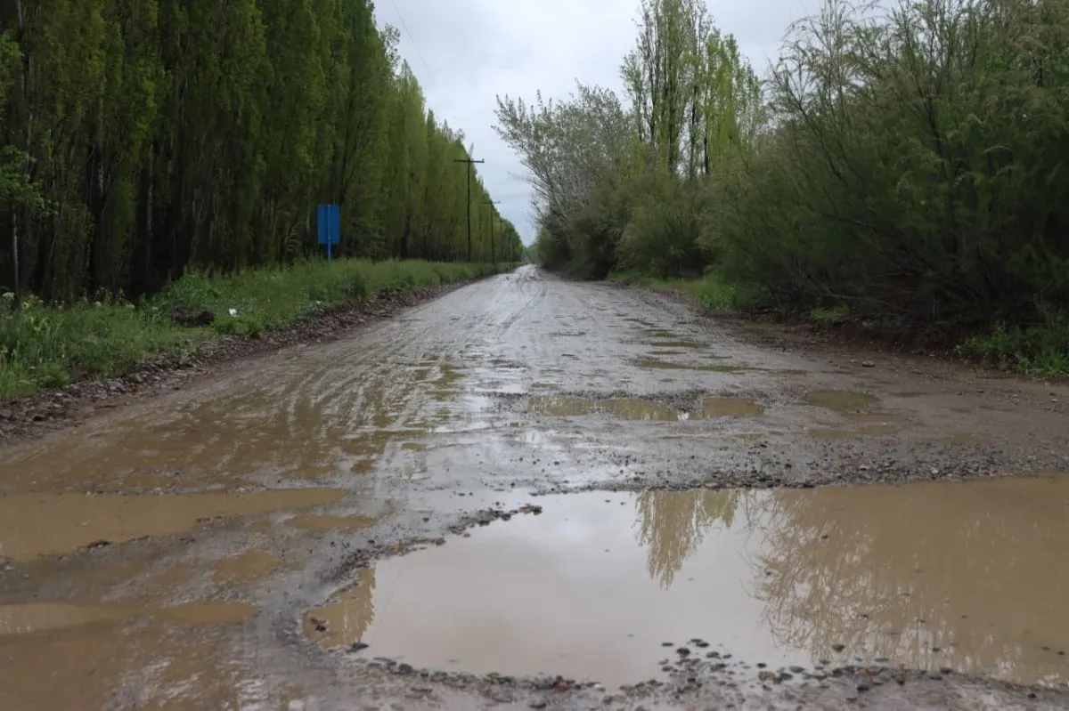 El barro y las piedras sueltas complican la circulaci&oacute;n por los caminos rurales de Roca. Foto: Tania Domenicucci