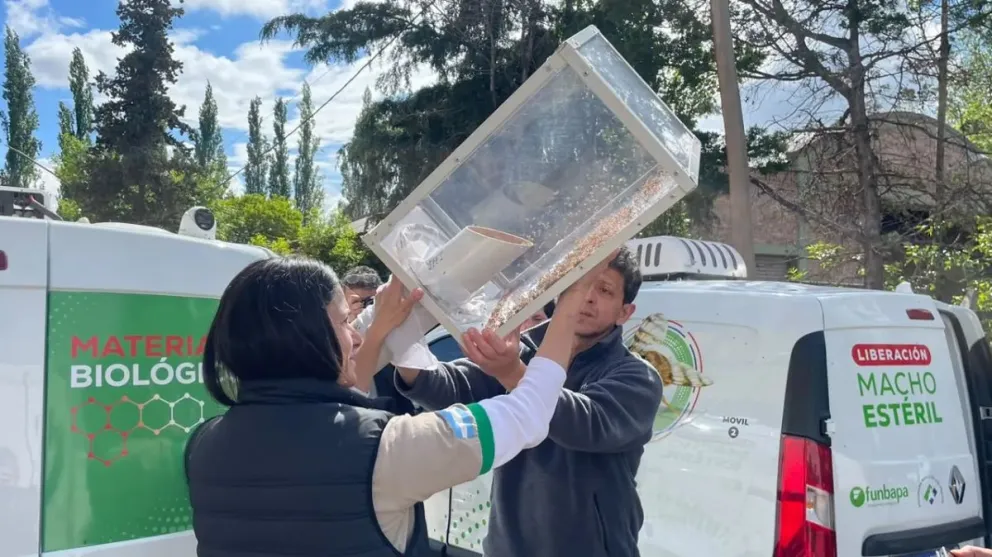 La liberación se realizó en Allen. Foto gentileza Gobierno de Río Negro