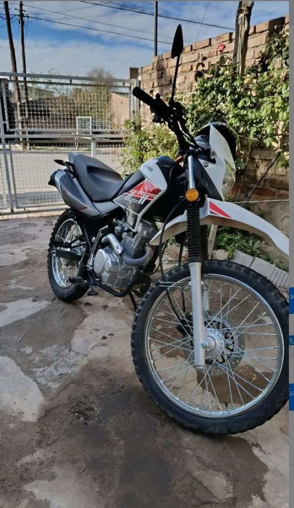asdada