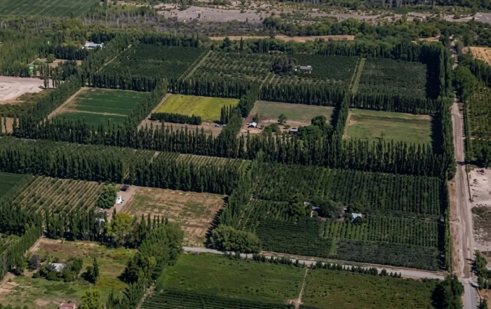 El proyecto busca correr los límites de la ciudad hacia zonas rurales, incluyendo sectores cercanos a las rutas 22 y 65 y parcelas de cultivo. Foto archivo 