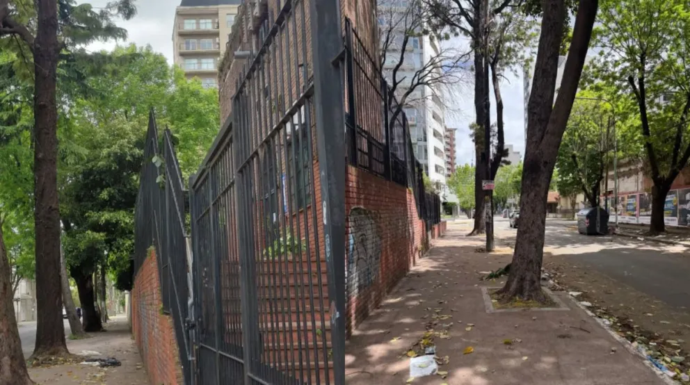 Ya se habían realizado reclamos para que los árboles fueran podados. 