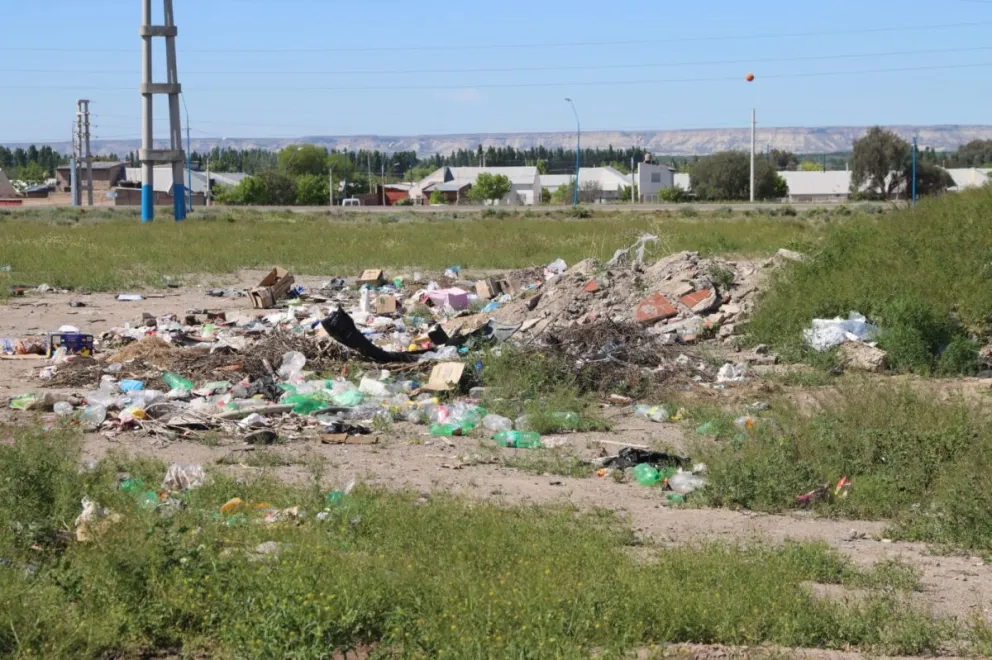Uno de los montículos de basura en el ingreso al sector del aeropuerto de Roca. Foto: Tania Domenicucci