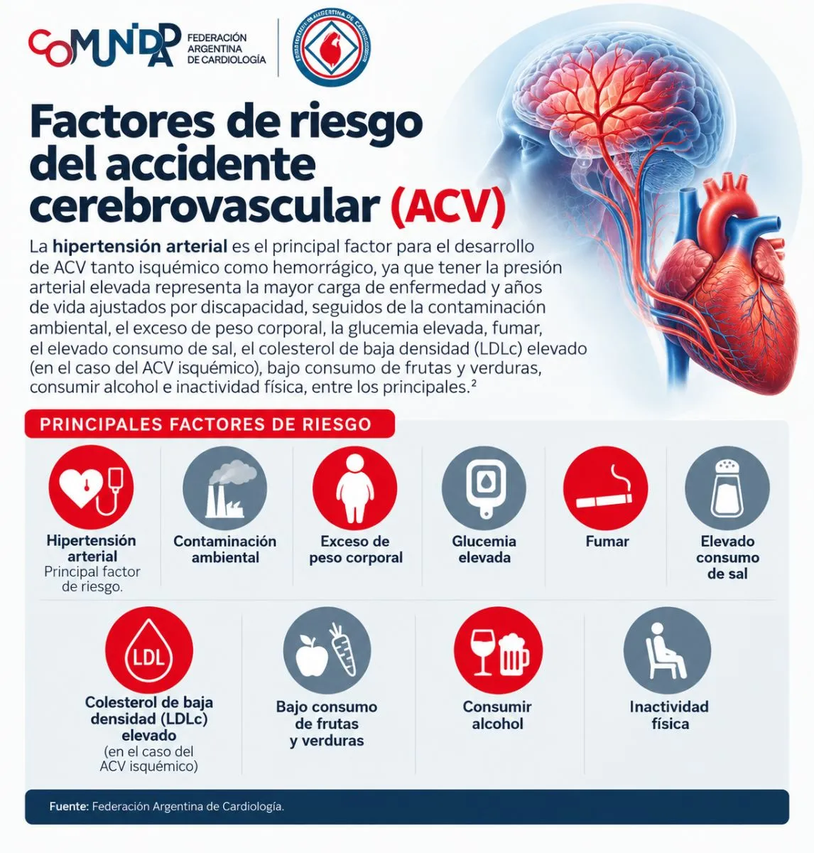 La hipertensi&oacute;n arterial es el principal factor de riesgo de sufrir un ACV. La infograf&iacute;a re&uacute;ne otros factores que pueden afectar la salud cerebral. Fuente: Federaci&oacute;n Argentina de Cardiolog&iacute;a.