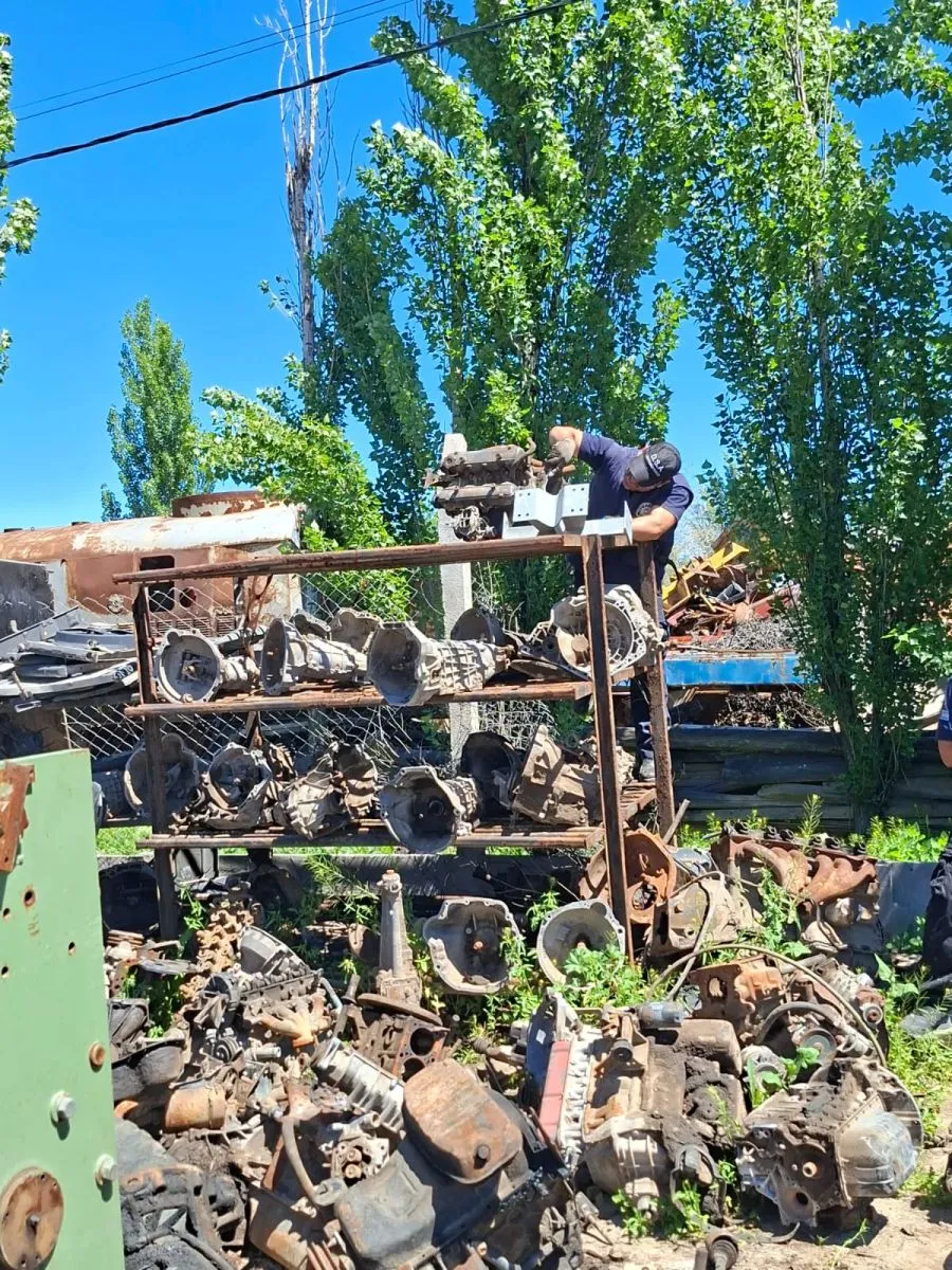El procedimiento se realiz&oacute; en un establecimiento ubicado en Alsina y F&eacute;lix Heredia, en Roca. Foto: Polic&iacute;a de R&iacute;o Negro.